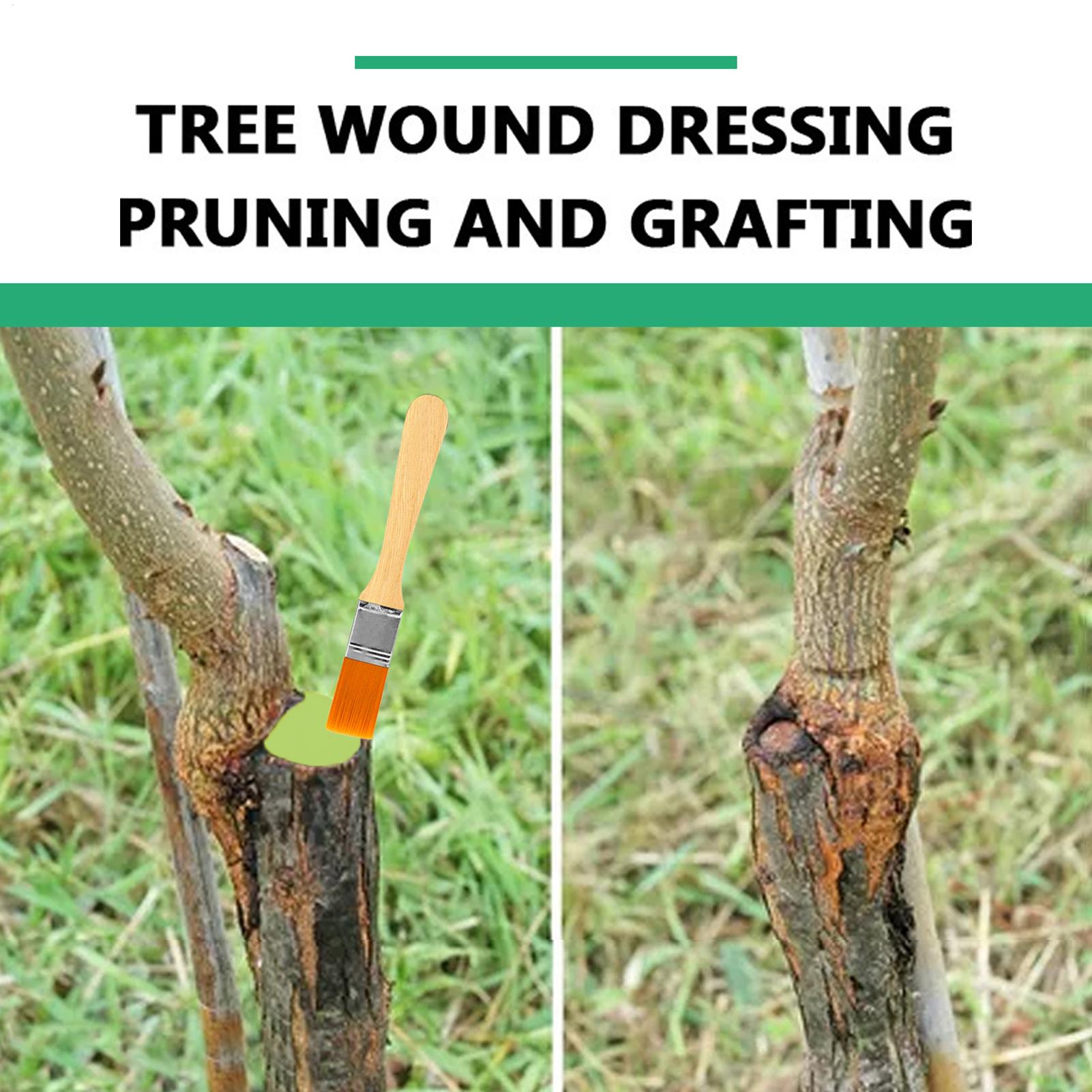 น้ำยาเคลือบกันน้ำสำหรับตัดแต่ง - Plant Parenting บทวิจารณ์และราคา