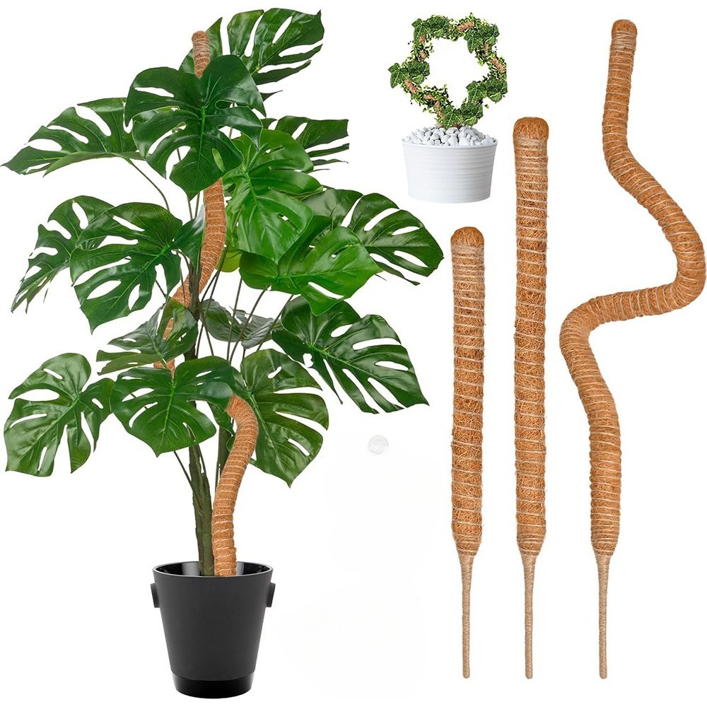 เสาไม้โคกยืดหยุ่นขนาด 30-100 ซ - Monstera Thai Constellation บทวิจารณ์และราคา