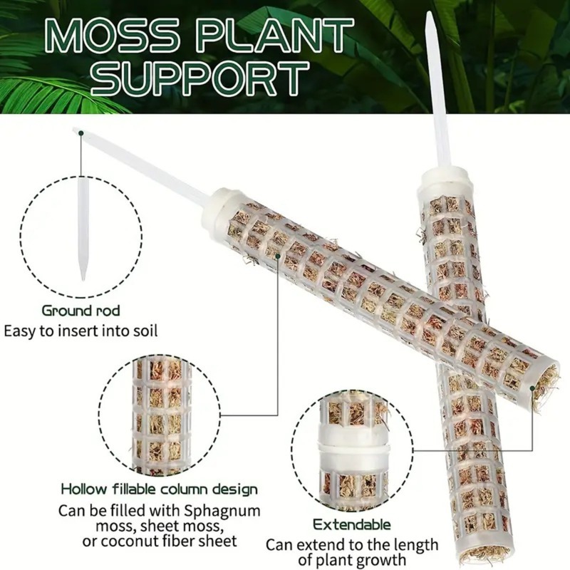 เสาไม้เลื้อยแบบรดน้ำเองได้ 1/2 - Monstera Thai Constellation บทวิจารณ์และราคา