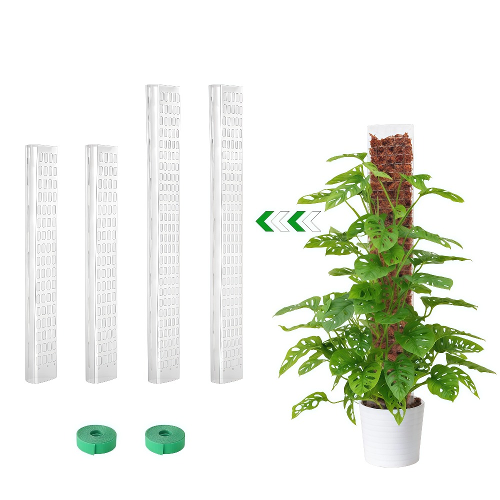 เสาพลาสติกสำหรับยึดต้นไม้ในร่ม - Monstera Thai Constellation บทวิจารณ์และราคา